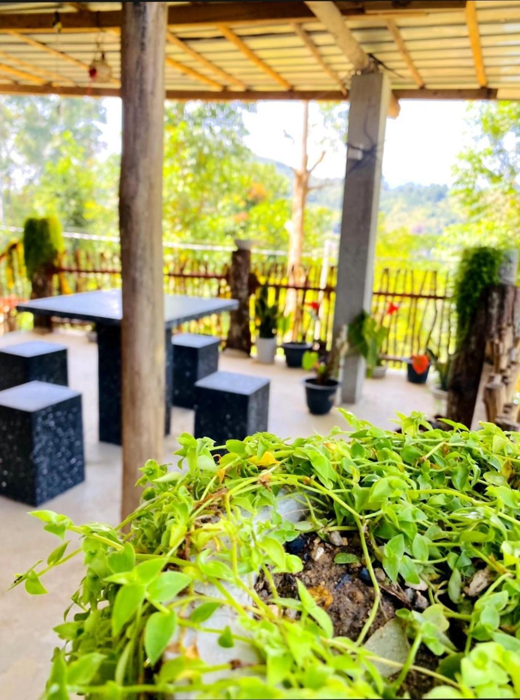 Blissful Haven Hotel Ella Exterior foto