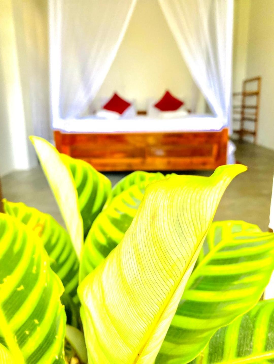 Blissful Haven Hotel Ella Exterior foto